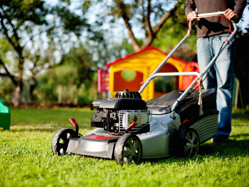 怎么挑选割草机