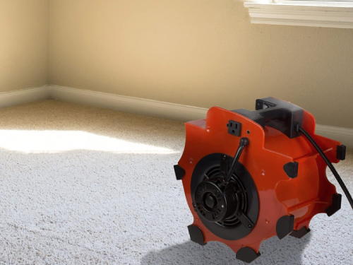 怎么挑选地毯干燥机