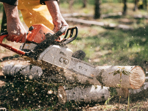 怎么挑选一款优质的链锯